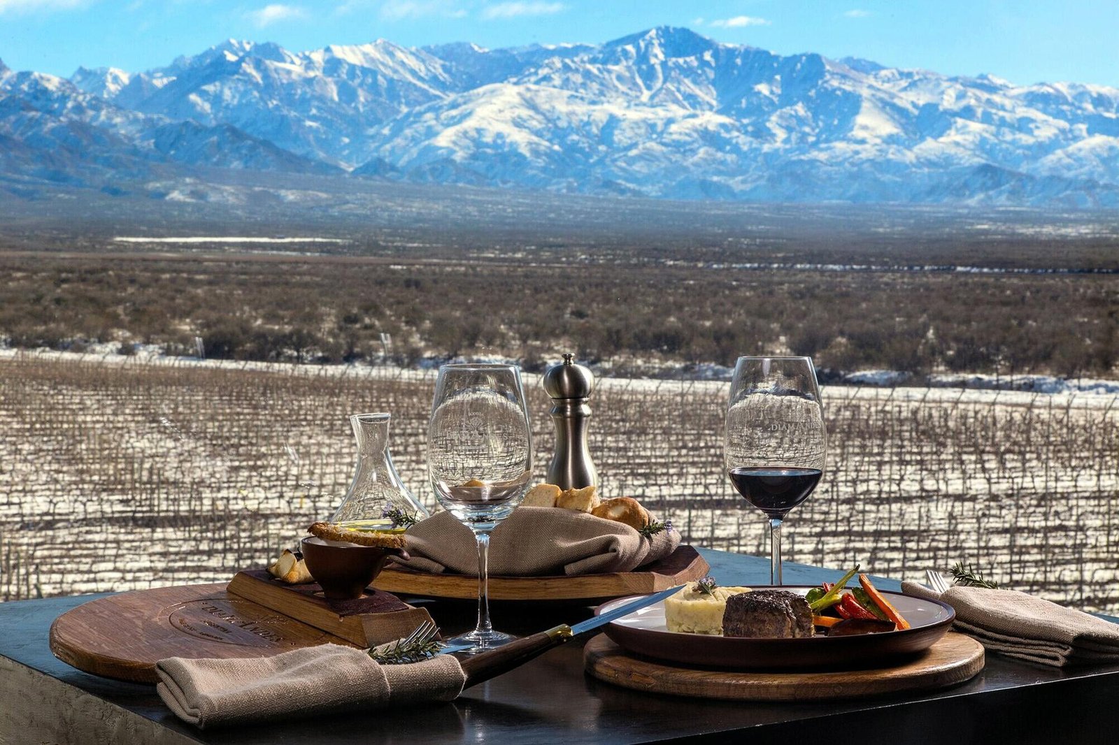 Mendoza - bodega con vista a los Andes