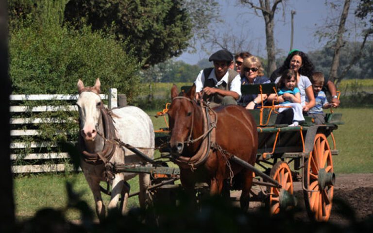 argentina-buenosaires-campo1