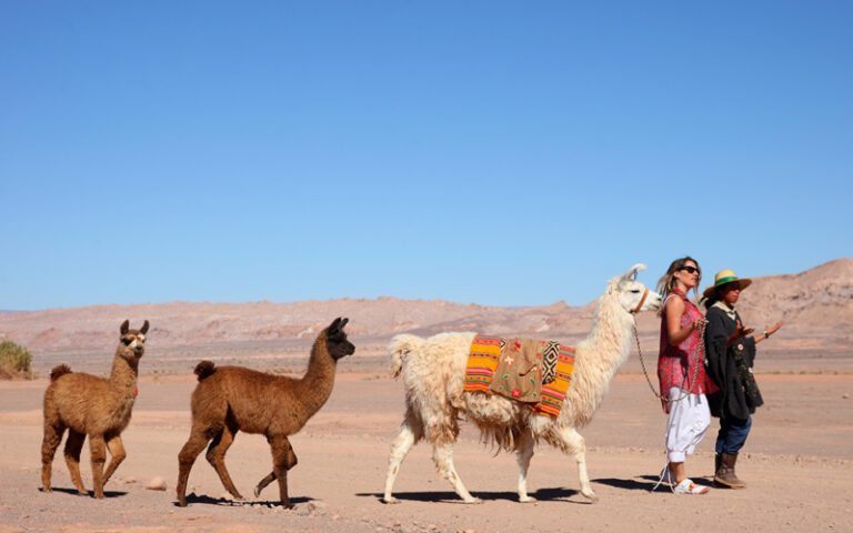 chile-atacama-1