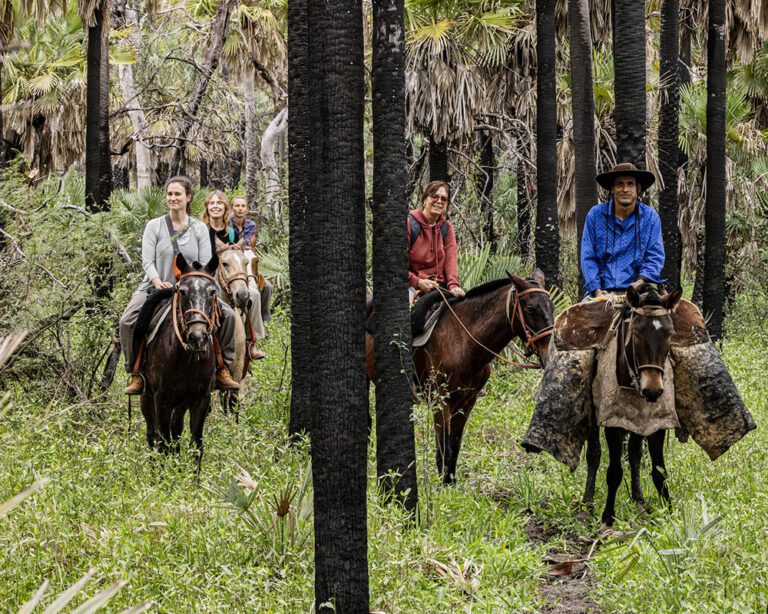El Impenetrable Río Bermejo Los Palmares-La Fidelidad © Emilio White junio 2023 79