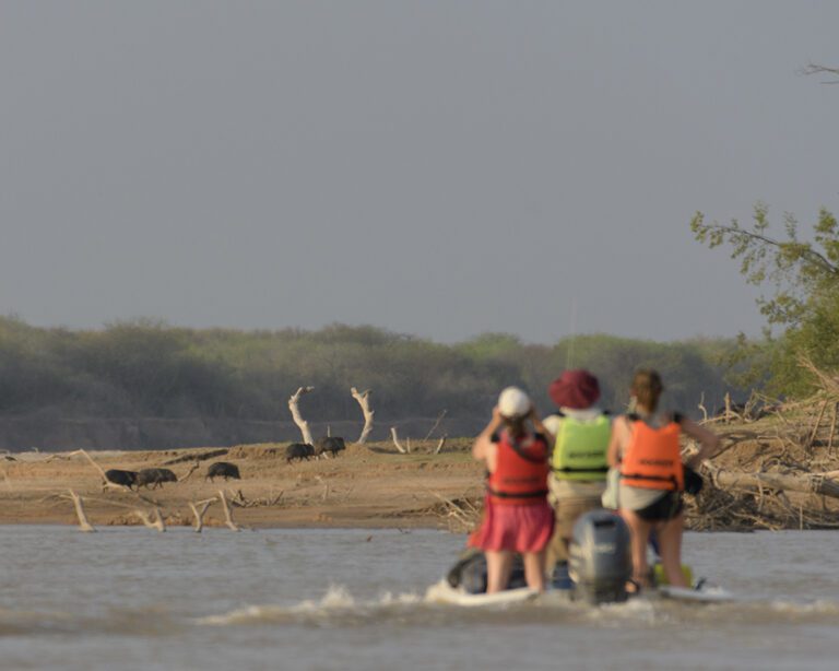 Impenetrable - PH Ariel Amoroso (9) (1)