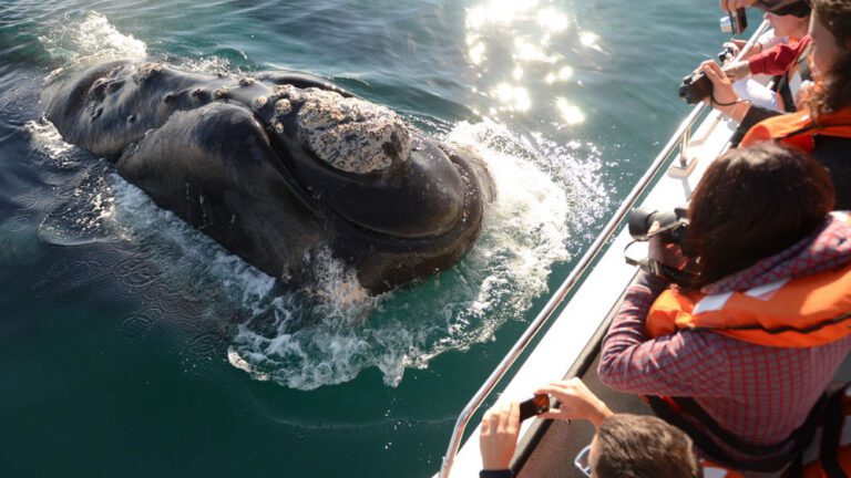 Puerto-Madryn-by-Guada-1