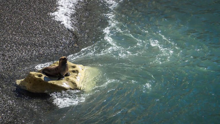 Puerto-Madryn-by-Guada-11