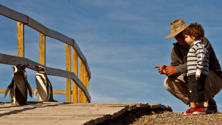 Puerto-Madryn-by-Guada-14