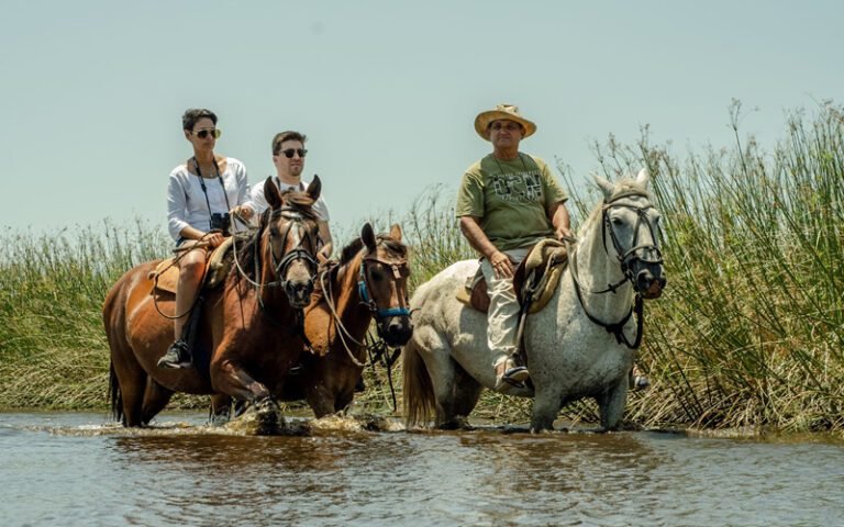esteros-ibera-cabalgata