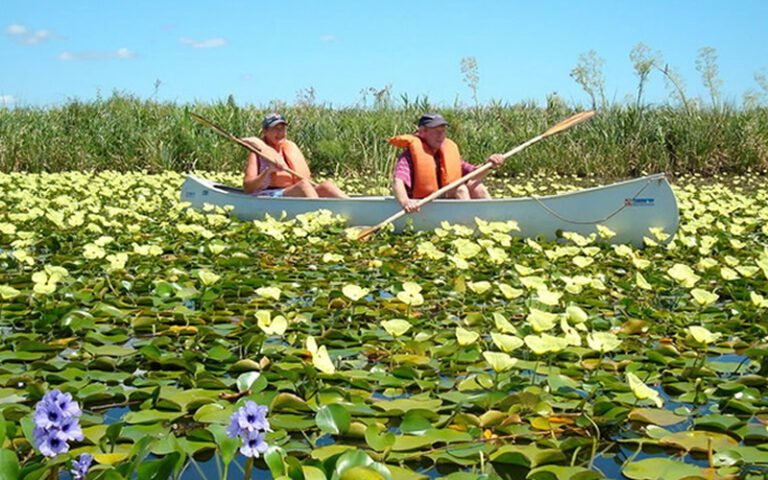 esteros-ibera-navegación